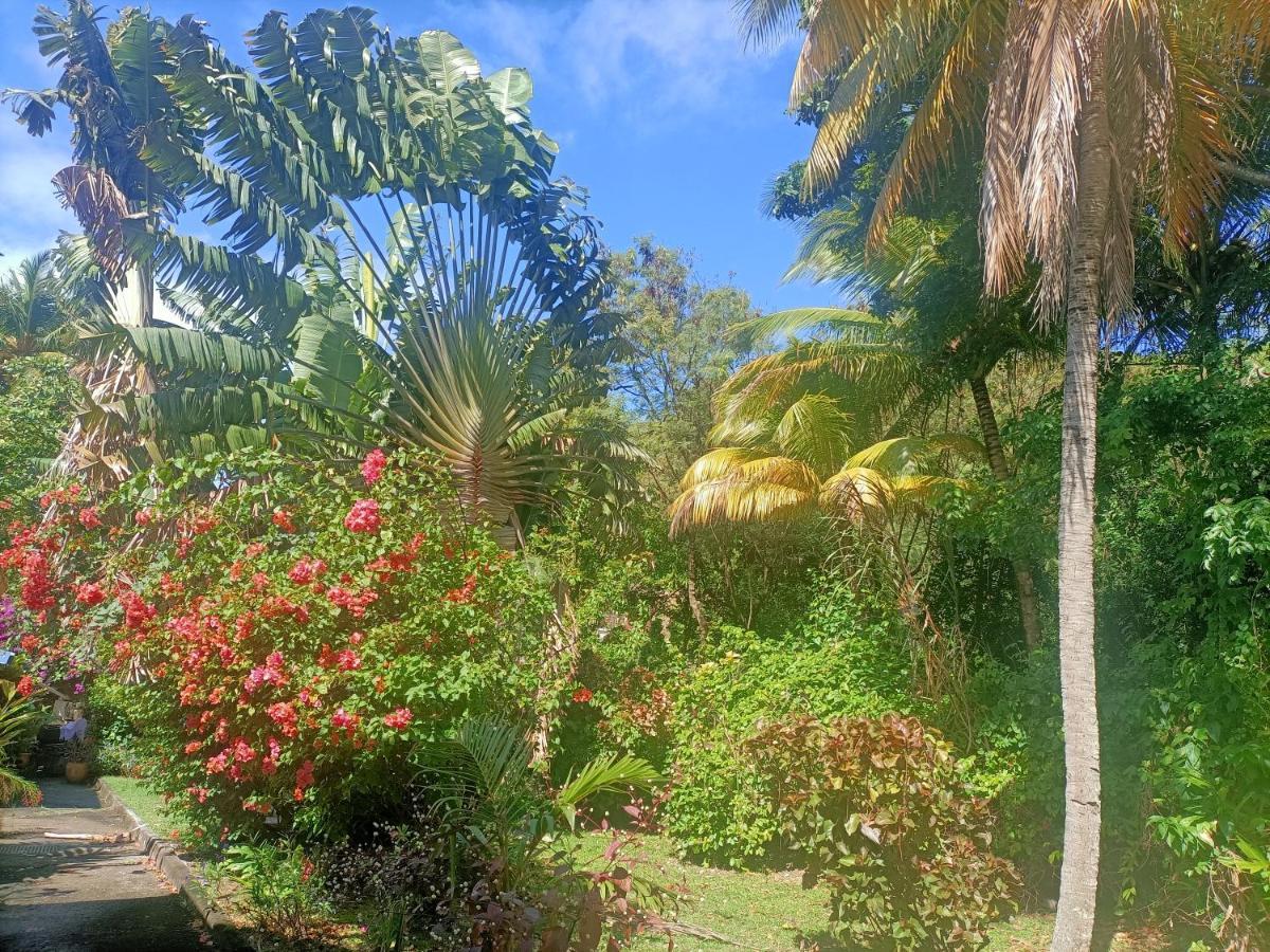 Le Colibri Ble Villa Sainte-Anne Ngoại thất bức ảnh