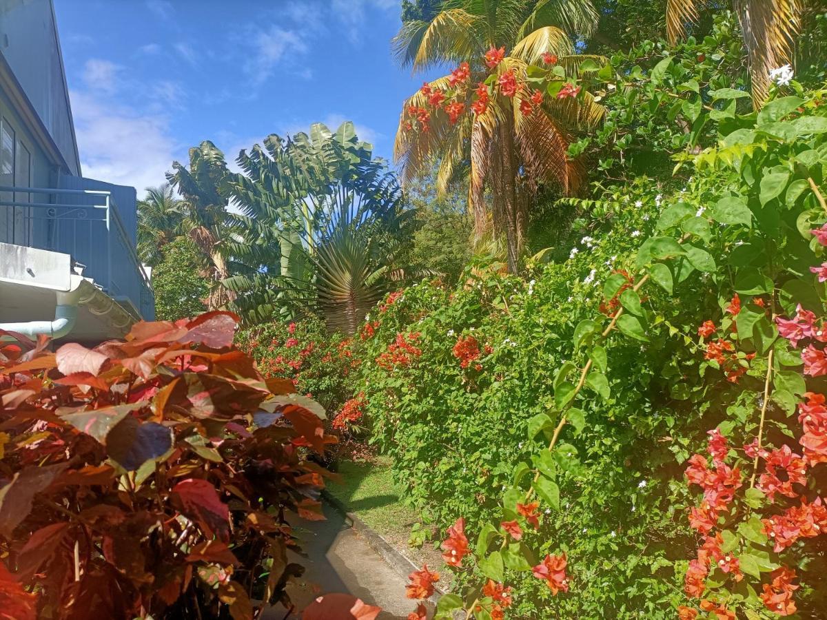 Le Colibri Ble Villa Sainte-Anne Ngoại thất bức ảnh