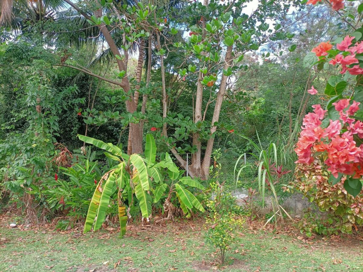 Le Colibri Ble Villa Sainte-Anne Ngoại thất bức ảnh