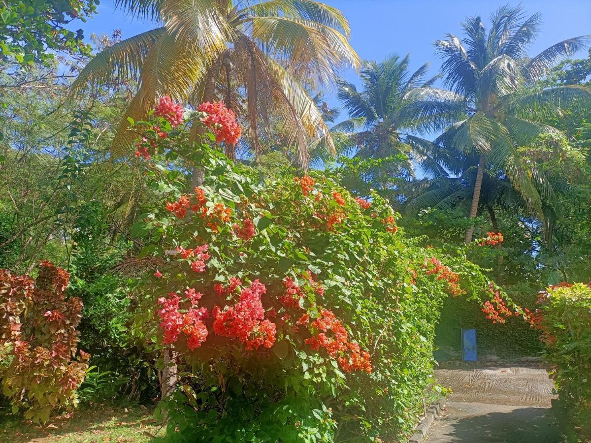 Le Colibri Ble Villa Sainte-Anne Ngoại thất bức ảnh