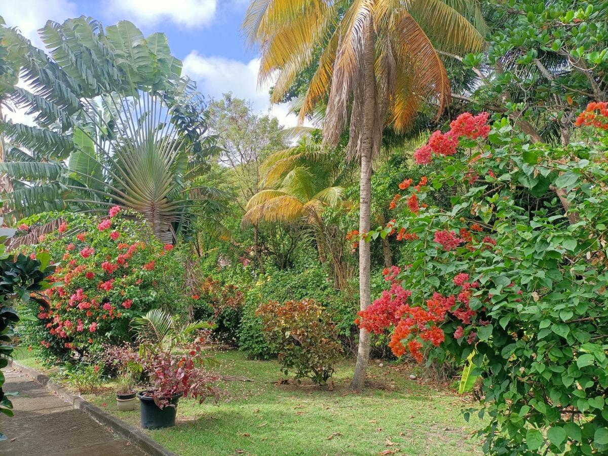 Le Colibri Ble Villa Sainte-Anne Ngoại thất bức ảnh