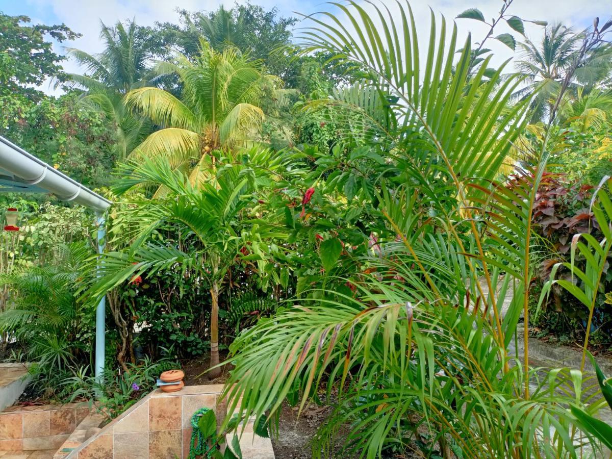 Le Colibri Ble Villa Sainte-Anne Ngoại thất bức ảnh